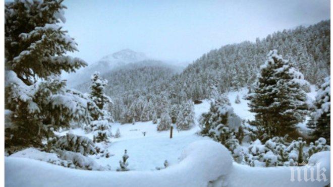 Снежна пелена покри Италия (снимки)