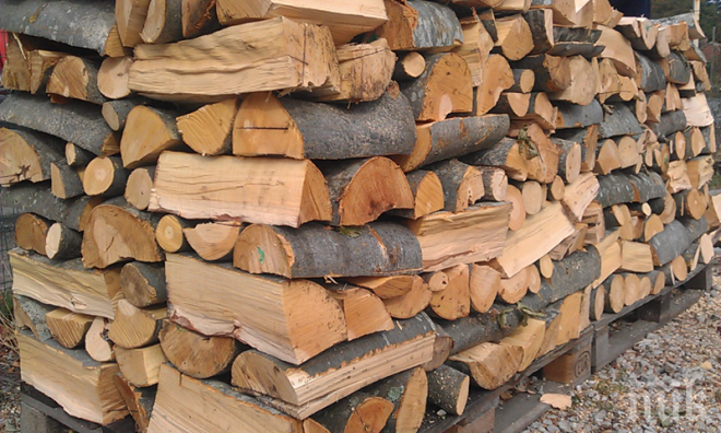 Омбудсманът: Цените на дървата скочиха с близо 100% от май насам