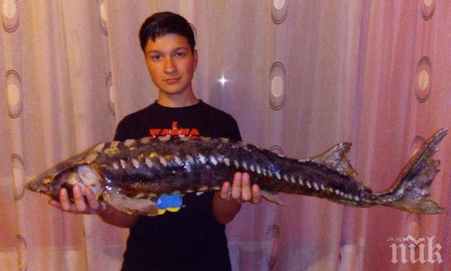 Лош късмет! Тази снимка донесе 5 бона глоба