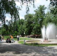 ПИК TV: Студенти украсиха централната алея на парк “Марица” в Димитровград