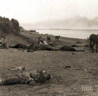 ШОКИРАЩА НАХОДКА В МАКЕДОНИЯ! Откриха масов гроб на българи в двора на албански лидер! Избити са от сърби