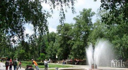 пик студенти украсиха централната алея парк марица димитровград