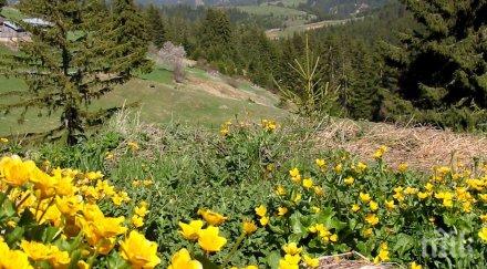 слънцето гали чакат градуса топъл уикенд понеделник