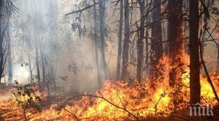 огромен пожар бушува индонезия