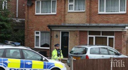 трагедия куче уби бебе рани тежко друго дете лондон