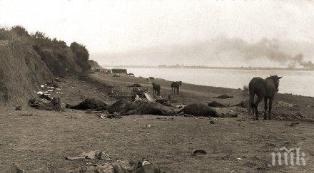 шокираща находка македония откриха масов гроб българи двора албански лидер избити сърби