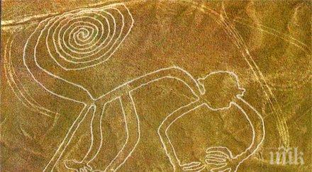 испания откриха скални рисунки 000 години