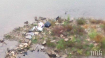 момиче скочи плува тъмно марица патрул откри