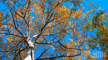 идва слънчев уикенд новата седмица започва валежи