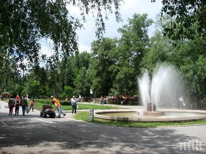 ПИК TV: Студенти украсиха централната алея на парк “Марица” в Димитровград