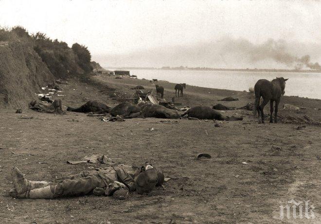 ШОКИРАЩА НАХОДКА В МАКЕДОНИЯ! Откриха масов гроб на българи в двора на албански лидер! Избити са от сърби