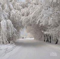 Как да подготвим автомобила си за зимата 