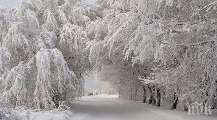 подготвим автомобила зимата