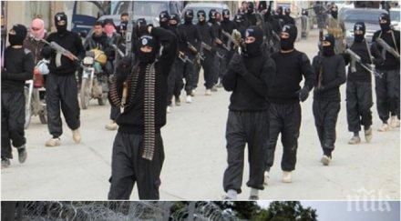 шок джихадисти преминали спокойно българия