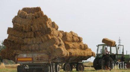 работник загина затиснат бали слама каварна