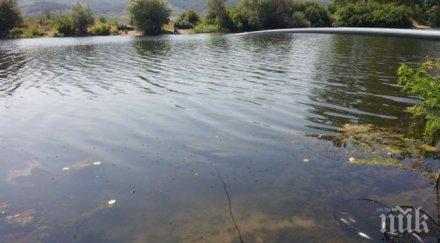 мор екоинспектори вдигнати крак пак заради умряла риба тунджа