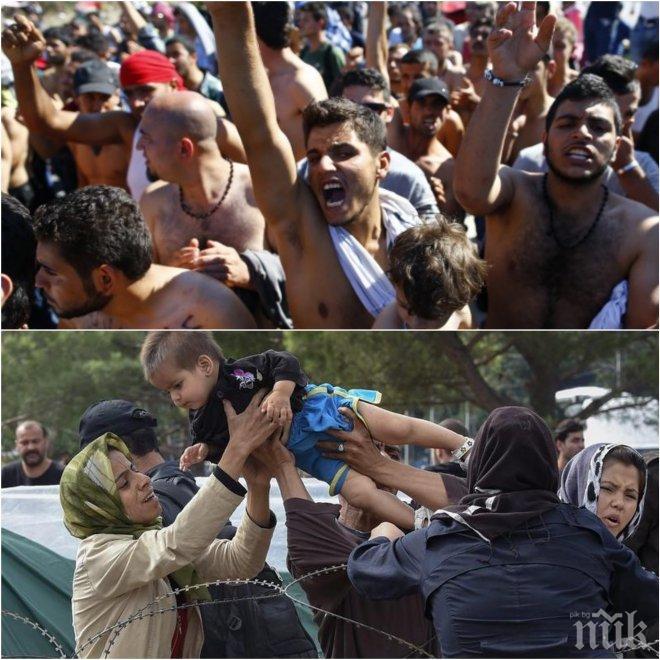 Става страшно! Мигрантите нахлуват на вълни, само за седмица се засечени нови 734 пришълци