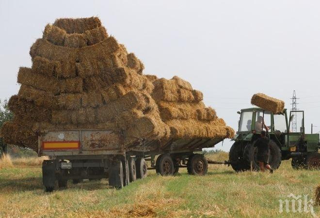 Работник загина, затиснат от бали слама край Каварна