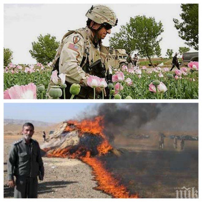 В Афганистан изгориха пет тона дрога и алкохол