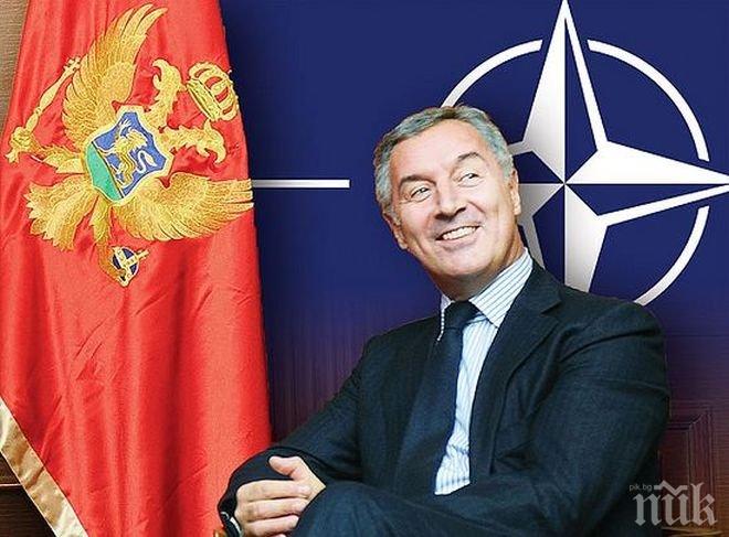 Мило Джуканович: Черна гора ще продължи да следва пътя на увереното европейско бъдеще