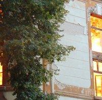 Експертиза показа: Пожарът в тютюневите складове в Пловдив тръгнали от стаята на на клошаря Любомир Данчев