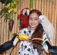 Екзотични папагали влизат в час (СНИМКИ)