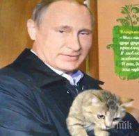 Най-желаният коледен подарък в Русия? Путин с котенце и на кон в календар