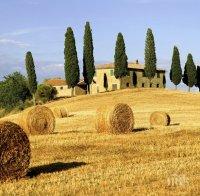 Пробив: Италия прие закон срещу експлоатацията на сезонни земеделски работници