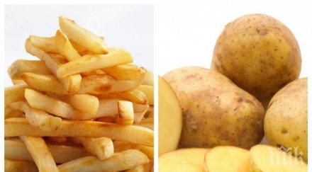 учени картофите зърнените храни опасни сърцето месото млякото