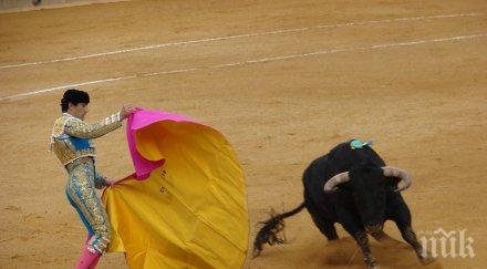 коридата каталуния отново законна испания отмени забраната борба бикове