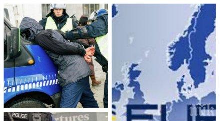 европол арестува 300 души безпрецедентна операция организираната престъпност