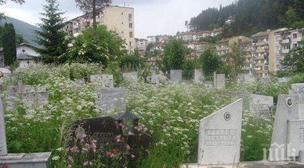 възрастни съпрузи буйствали гробището смолян