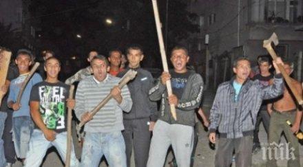 екшън роми нападнаха ченгета камъни дървета