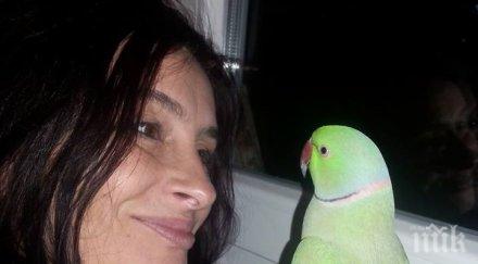 приятели простреляната мая ваклинова сърцераздирателни постове фейсбук изпихме водка изпушихме цигараще помним