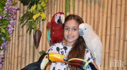 екзотични папагали влизат час снимки