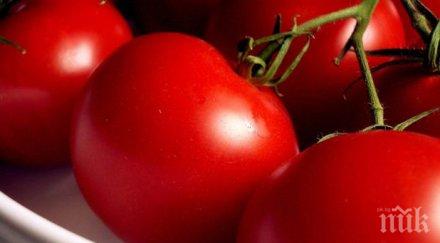 ядем свинска опашка изскочи хляб шуменка купи домат кълнове