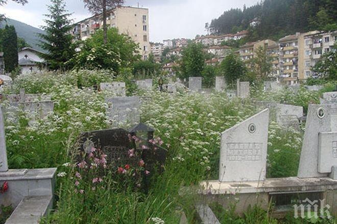 Възрастни съпрузи буйствали на гробището в Смолян

