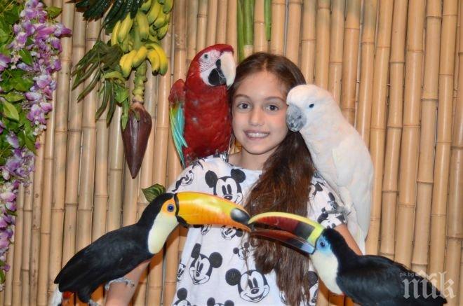 Екзотични папагали влизат в час (СНИМКИ)