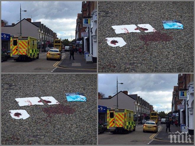 ШОК! Хари Реднап прегази жена си (СНИМКИ)