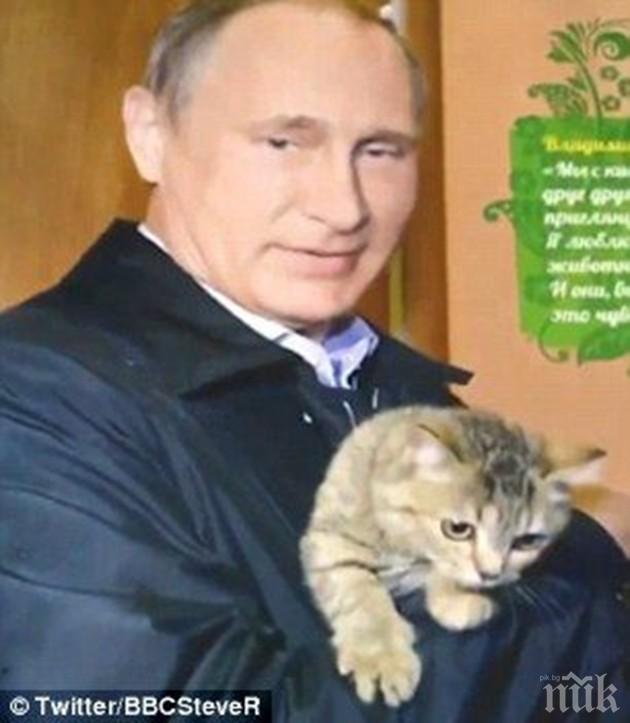 Най-желаният коледен подарък в Русия? Путин с котенце и на кон в календар