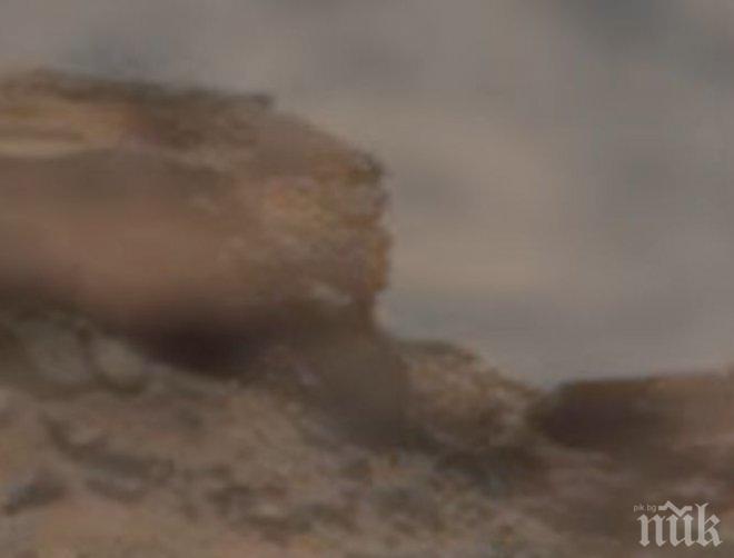 НАХОДКА! На Марс е имало живот! Вижте как са дялали човешки лица в скалите? (ВИДЕО)