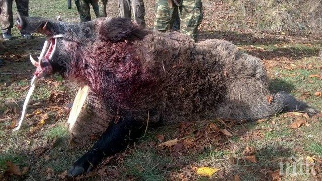 Ето как гръмнаха Бин Ладен в Родопите