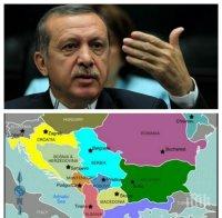 Ердоган пак ни спомена: Не може да мислим за Кърджали и Скопие по различен начин от този за Одрин