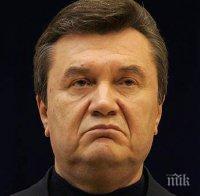 Украинска героиня предлага да бъде върнат президента Янукович