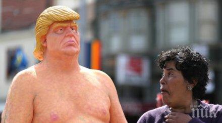 продадоха търг голия тръмп