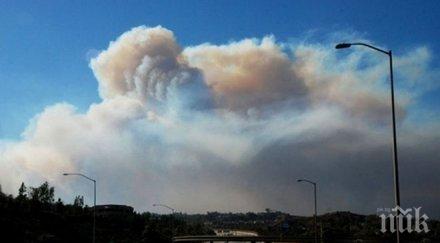 паника бургас смрад сероводород побърка морския град