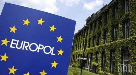 разбира голяма групировка фиансови измами далавери