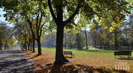 седмицата започва без промяна времето вижте чака сряда