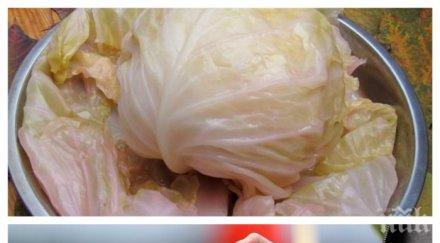 носят зелето къщи лева