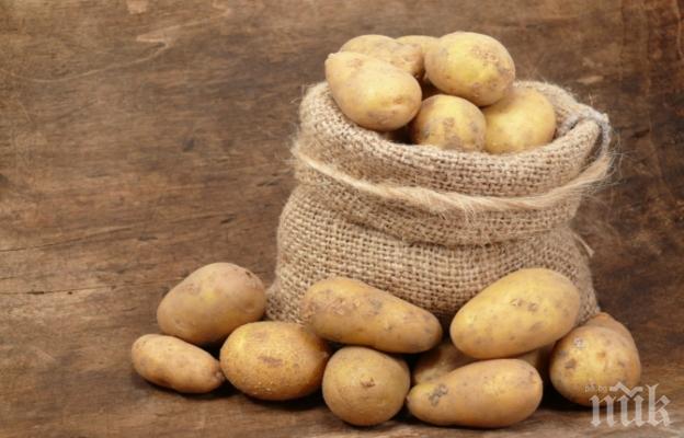 И с картофи става! Младеж се обясни в любов на къра, докато вади кореноплодните (СНИМКА)
